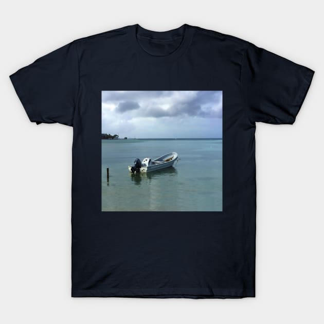 Cloudy Boating Day Two T-Shirt by KarenZukArt